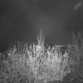 Webcam_20201125-203000