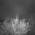 Webcam_20201126-201500