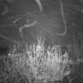 Webcam_20201126-210000