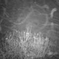 Webcam_20201126-214500