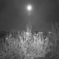 Webcam_20201127-193000