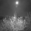 Webcam_20201127-194500