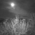 Webcam_20201128-194500