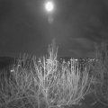Webcam_20201128-201500