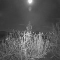 Webcam_20201128-203000