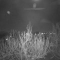 Webcam_20201128-210000