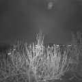 Webcam_20201128-211500