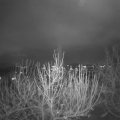 Webcam_20201128-214500