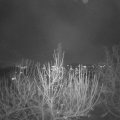 Webcam_20201128-220000