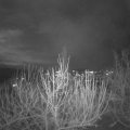 Webcam_20201130-191500