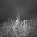 Webcam_20201130-203000