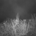 Webcam_20201130-204500