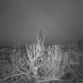 Webcam_20201201-074500