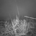 Webcam_20201201-080000