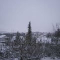 Webcam_20201201-113000