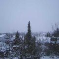 Webcam_20201201-170000