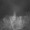 Webcam_20201201-191500