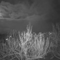 Webcam_20201201-203000