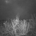 Webcam_20201201-214500