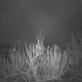 Webcam_20201202-051500