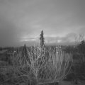 Webcam_20201202-081500