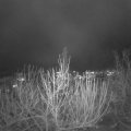 Webcam_20201202-184500