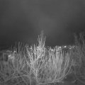 Webcam_20201202-204500