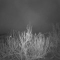 Webcam_20201203-050000