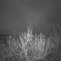 Webcam_20201203-054500