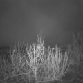 Webcam_20201203-060000
