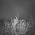 Webcam_20201203-061500