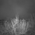 Webcam_20201203-063000