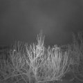 Webcam_20201203-070000
