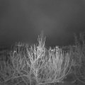 Webcam_20201203-073000