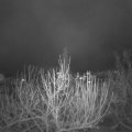 Webcam_20201203-074500