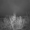 Webcam_20201203-081500