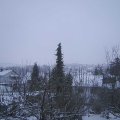 Webcam_20201203-110000