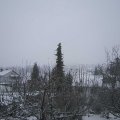 Webcam_20201203-111500