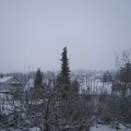 Webcam_20201203-113000