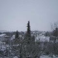 Webcam_20201203-114500