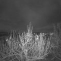 Webcam_20201203-181500