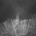 Webcam_20201203-191500