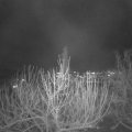 Webcam_20201203-193000