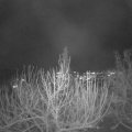 Webcam_20201203-194500
