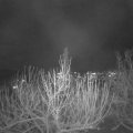 Webcam_20201203-201500