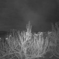 Webcam_20201203-210000