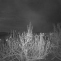 Webcam_20201203-211500