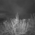 Webcam_20201203-214500