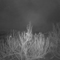 Webcam_20201204-050000