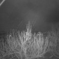 Webcam_20201204-054500
